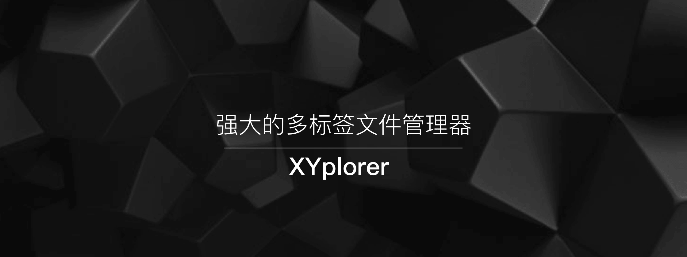 XYplorer – 强大的多标签文件管理器